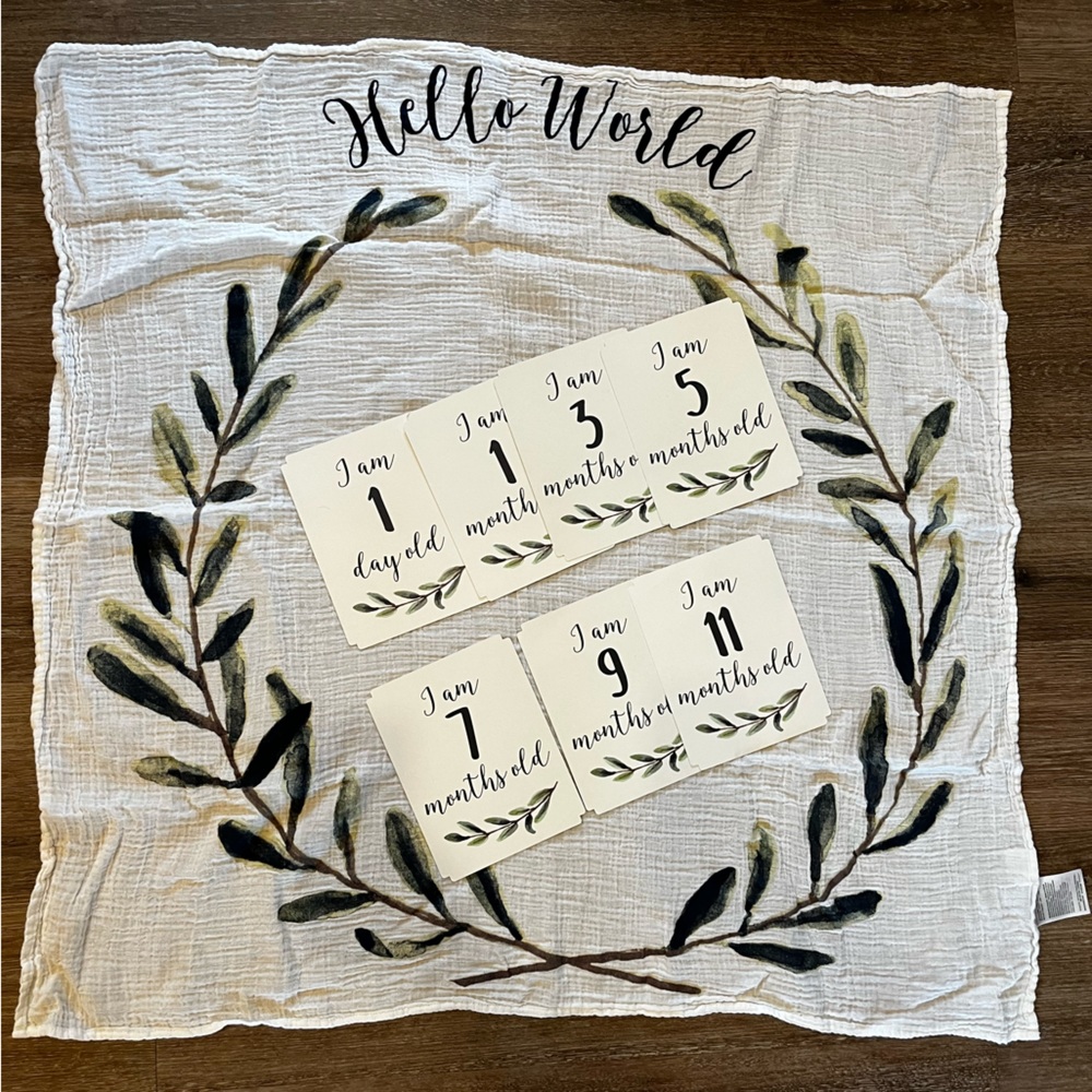 Baby monthly milestone blanket